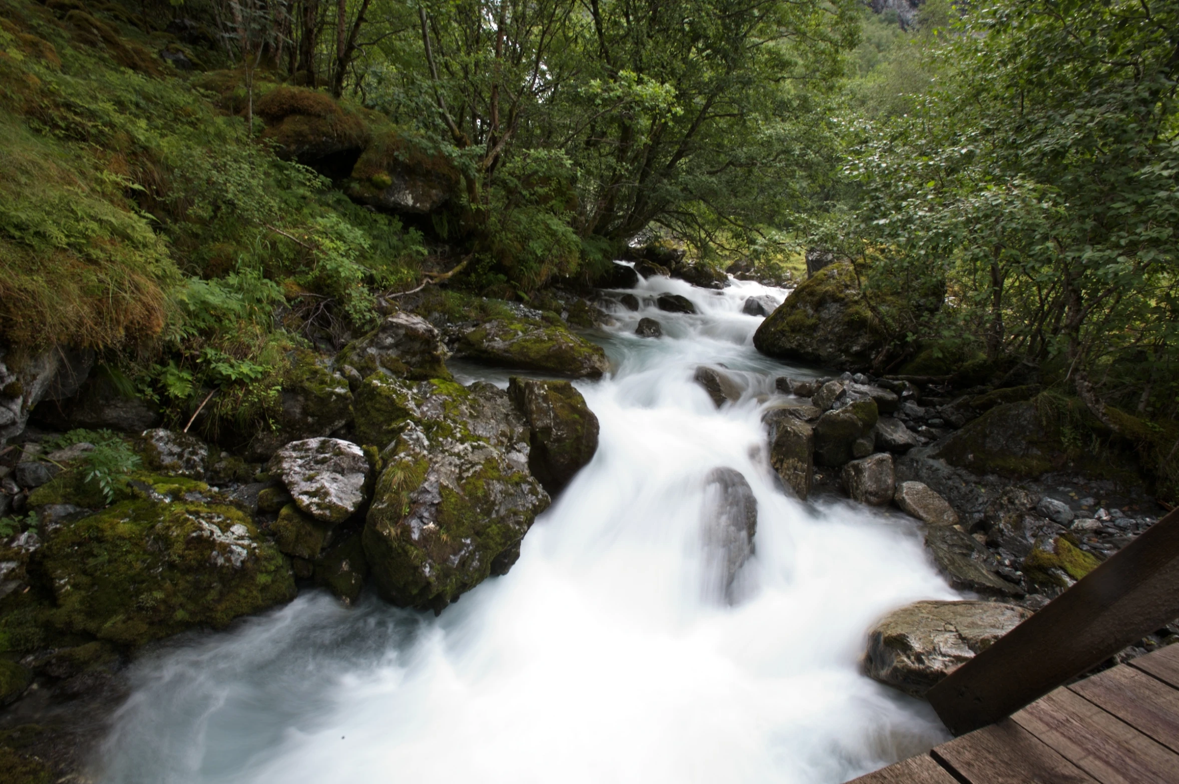 a water source is flowing out of some rocks