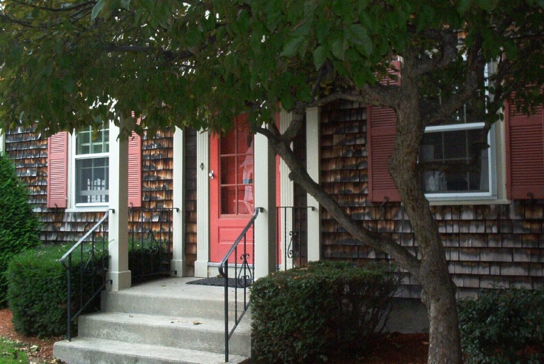 a bright red door sits behind a tree on a street