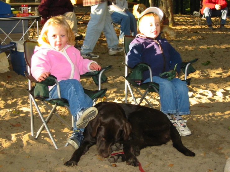 two children sit in chairs next to a dog on the ground