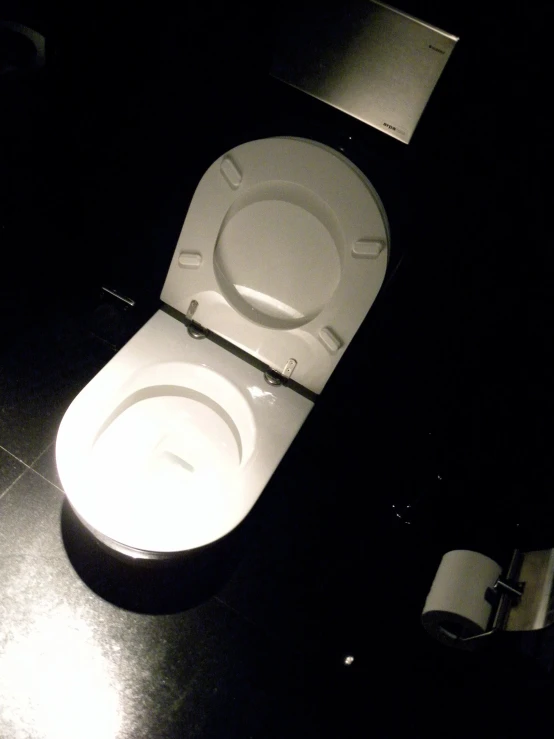 a toilet sitting in the middle of a black floor