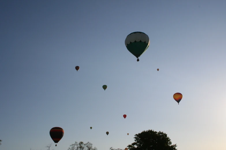 a group of  air balloons flying in the air