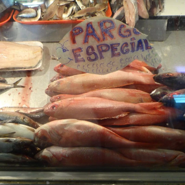 an image of fish on display in the store window