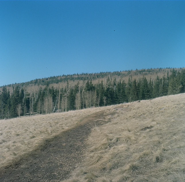 the landscape is mostly barren, but there are trees on top