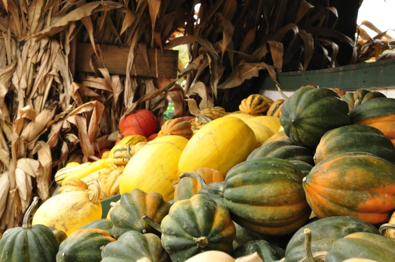 a large assortment of vegetables are stacked on a display