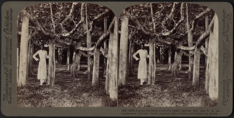 black and white pograph of woman near many trees