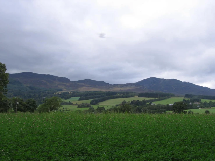 mountains sit in the distance on the side of a green pasture