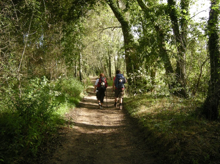 a man is pulling two children in a wagon on a trail