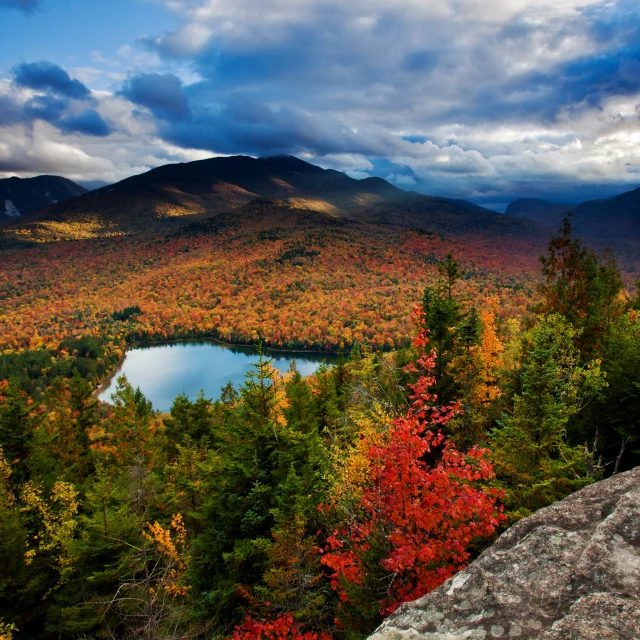 some trees that are by a lake and a mountain