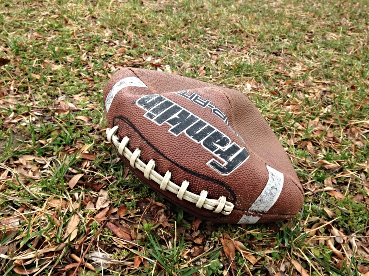 an image of a football on the ground in leaves