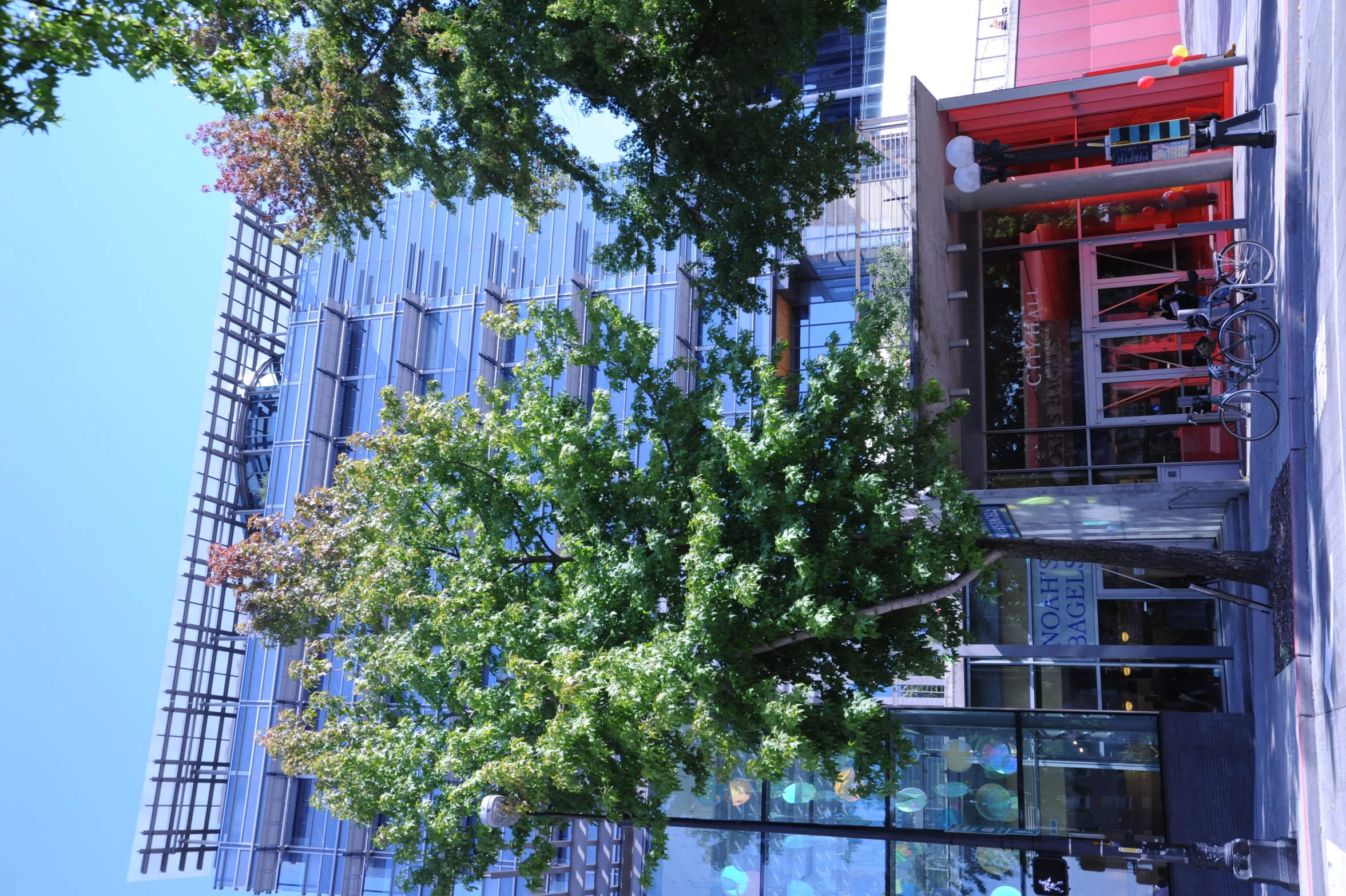 an image of a modern building next to trees