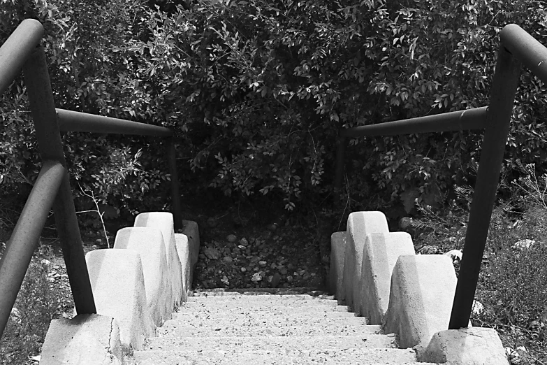 a concrete staircase with steps and railings leading to a jungle