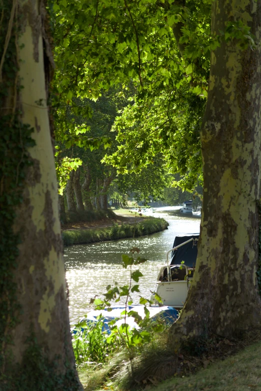 a boat sits in the middle of a small river