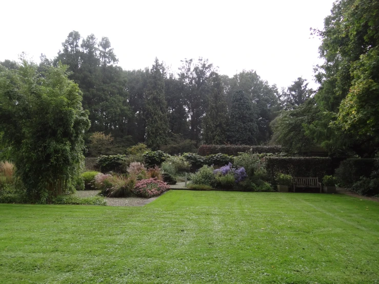 a large lawn with many trees and bushes