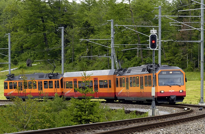 the train is going through the country by some trees