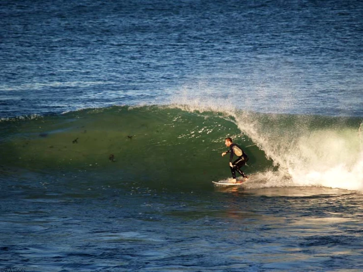 surfer riding large green wave into shore