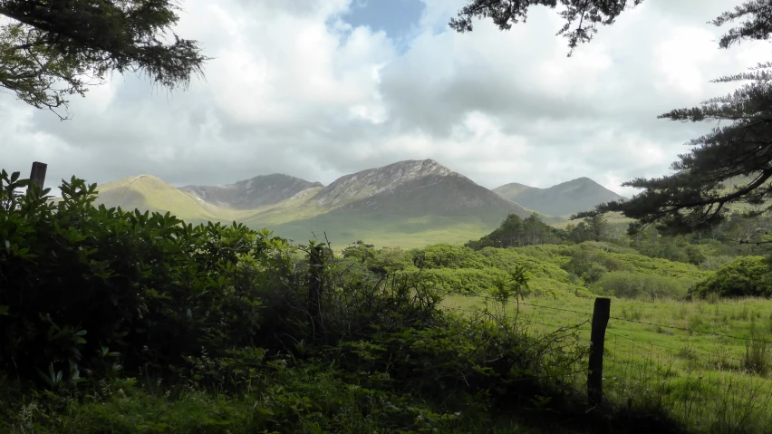 a grassy area with trees and mountains in the background