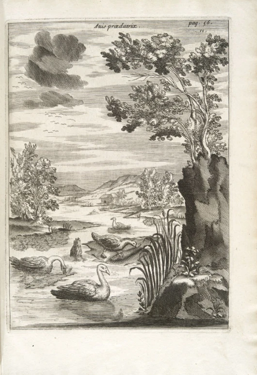 an antique painting of birds on a pond