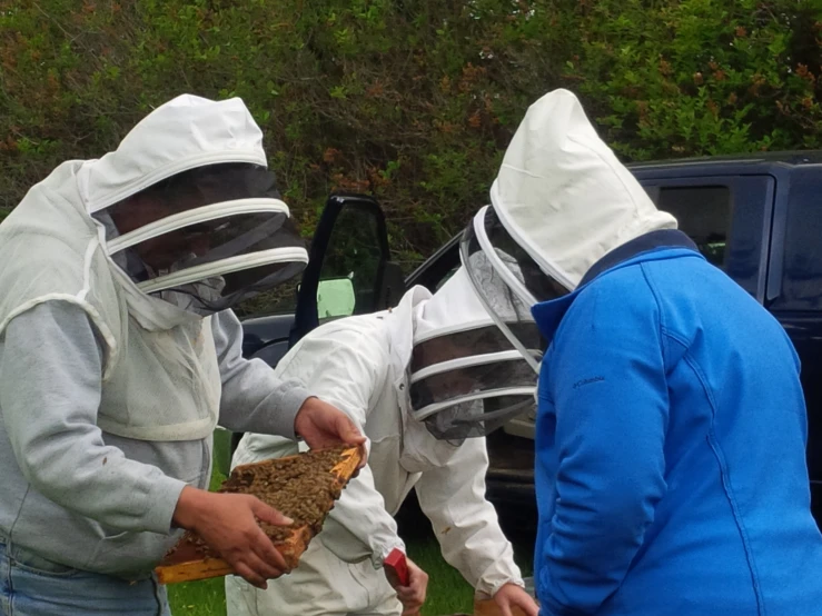 two people in bee suits are  into some food