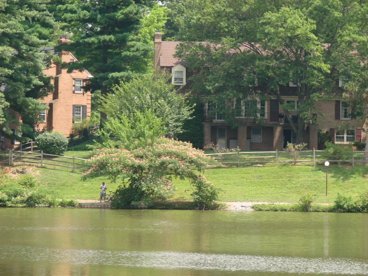 a pond with some trees surrounding it