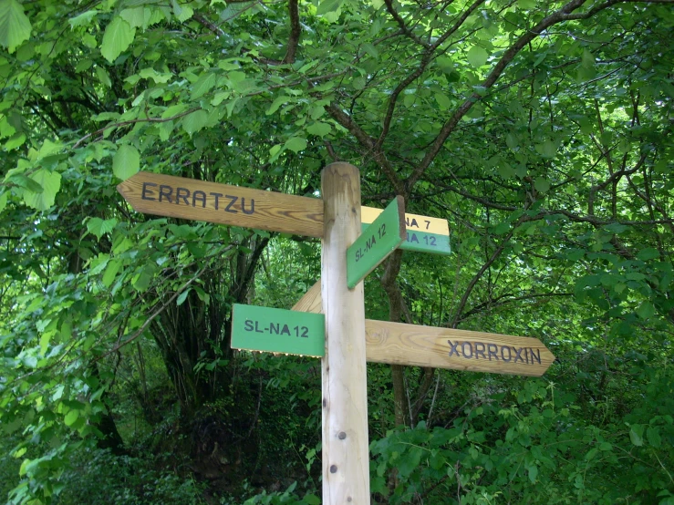 a wooden pole with signs on it in the woods