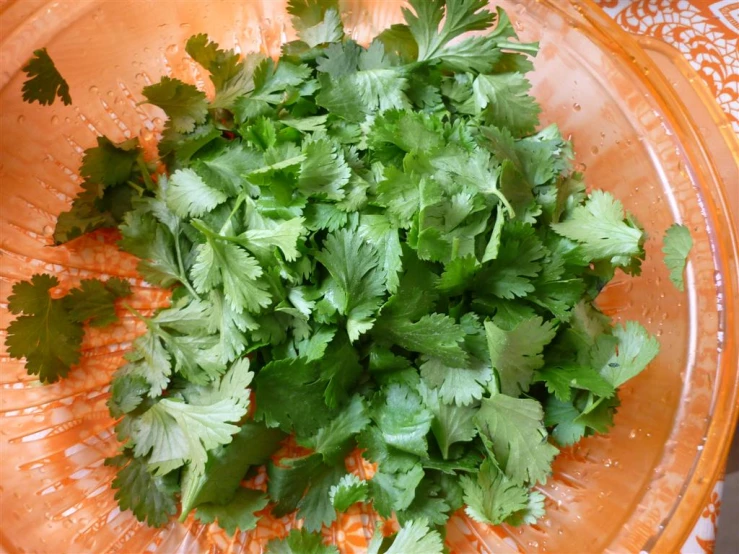 the green leafy lettuce is on top of a plate