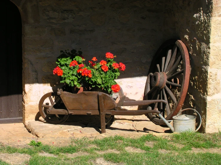 an old wooden wheel with plants on the side