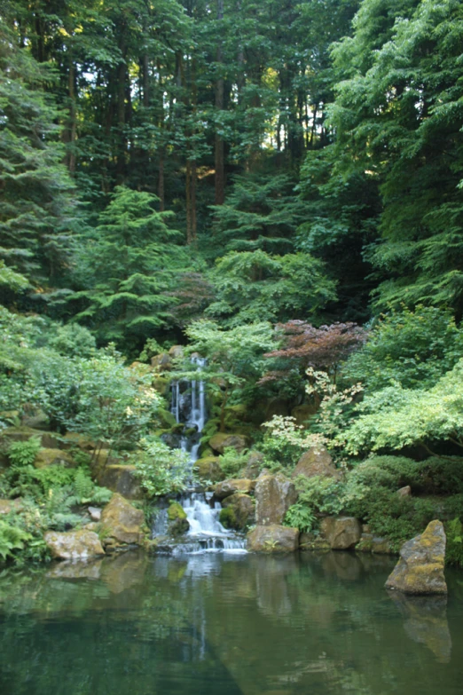 waterfall with rocks and trees in the background