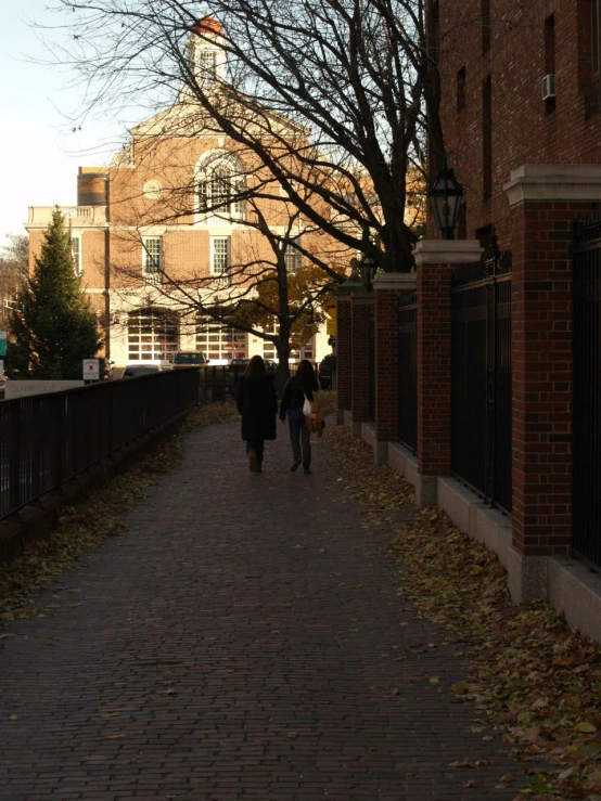 a group of people walk down a street with no leaves on it