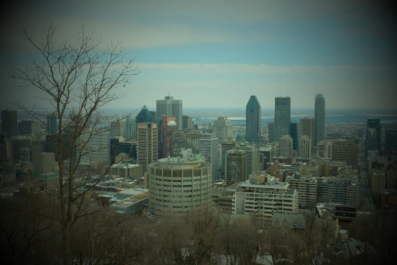 an urban city with trees and snow covered buildings