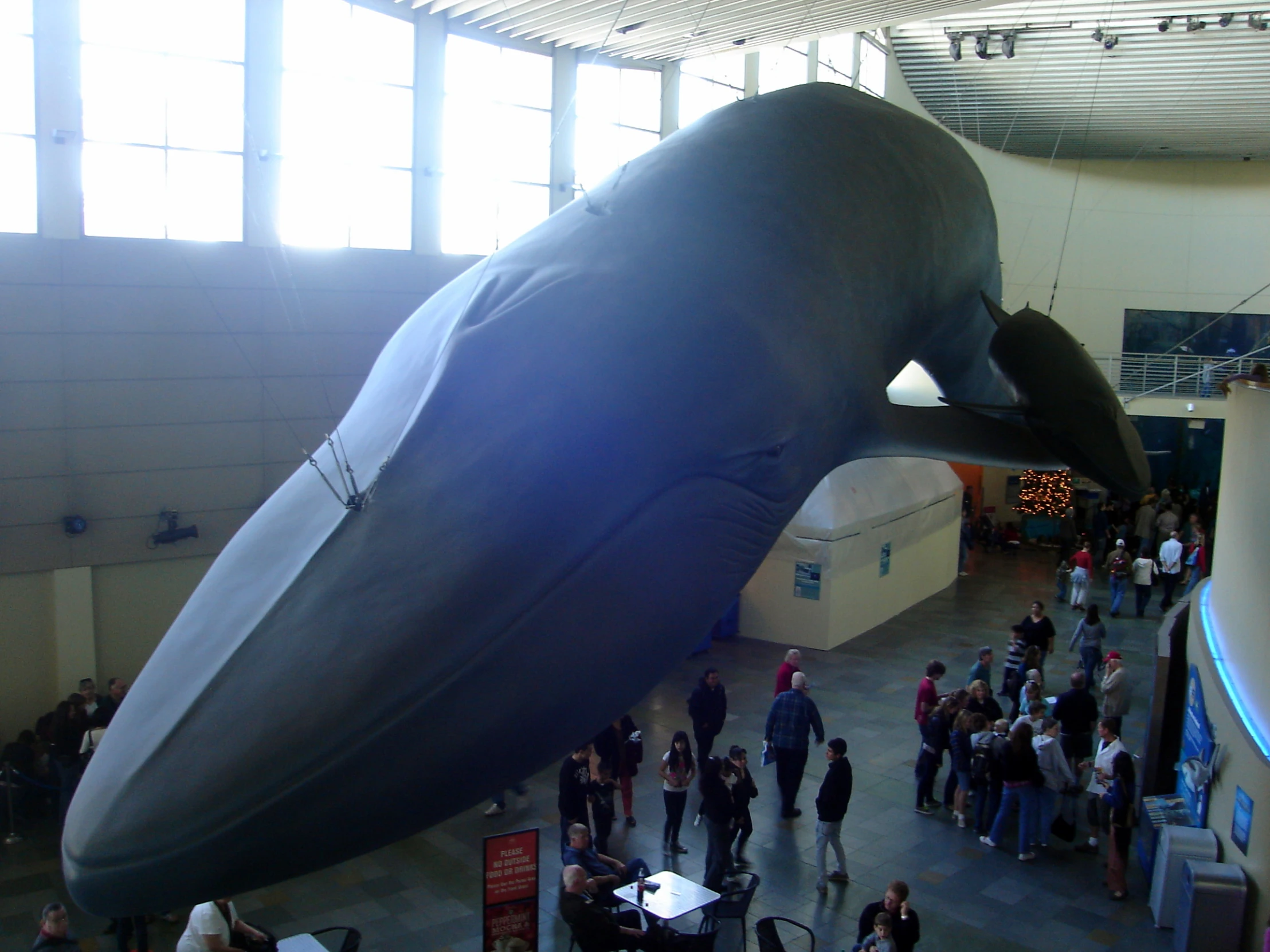 the crowd is around an inflatable whale on display