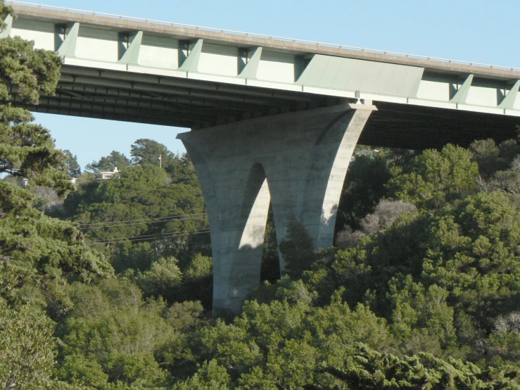 the underside view of an arched bridge over trees