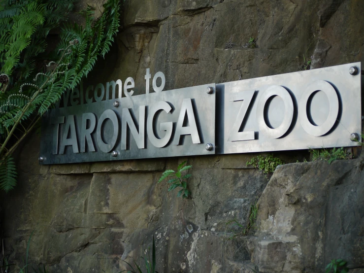 a street sign near the face of a cliff