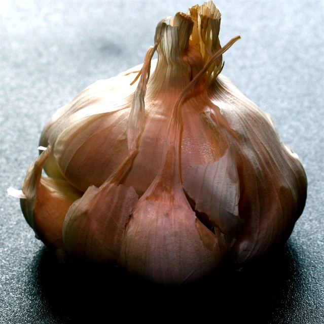 a close up po of a large onion that is about ready to be cooked