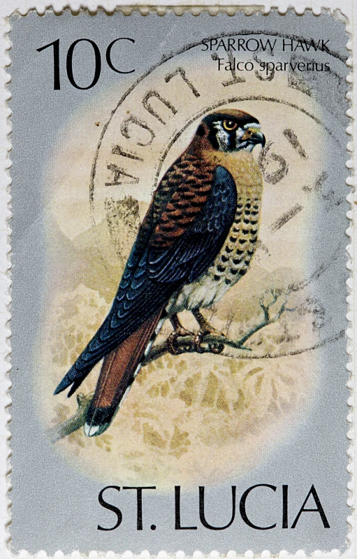 a stamp with a bird is shown on a postcard