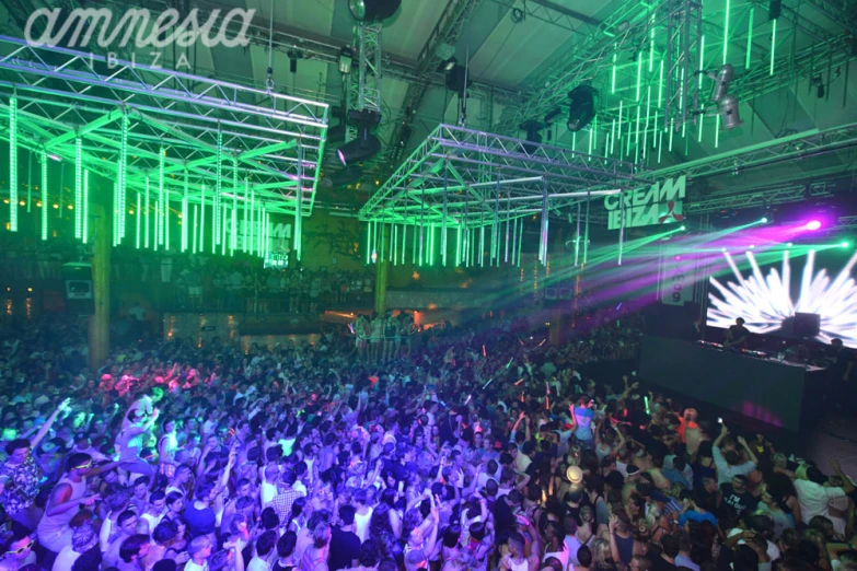 people standing in an indoor concert with neon lights