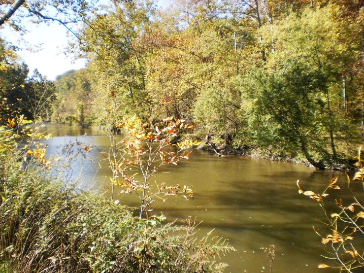 an empty river surrounded by trees on the shore