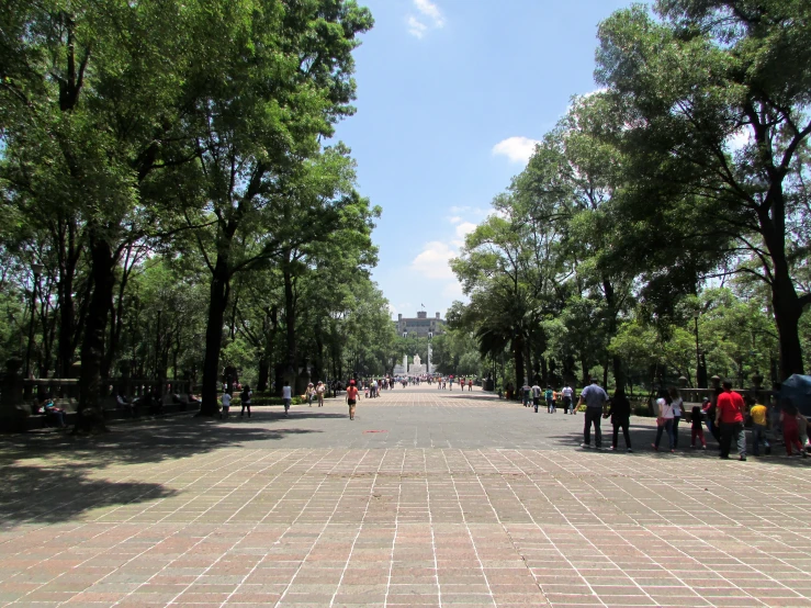 a walkway with some trees on one side and people walking down the other