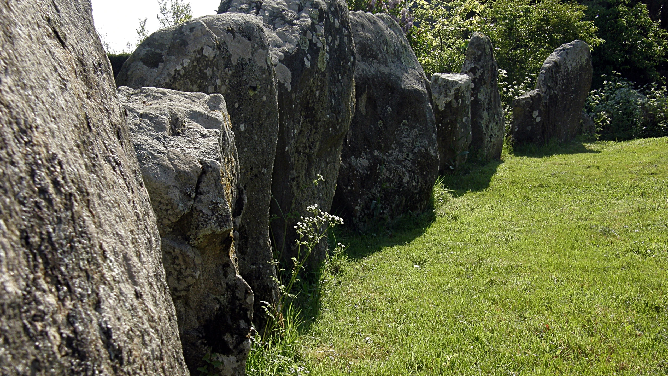 the grass next to the rocks is growing up