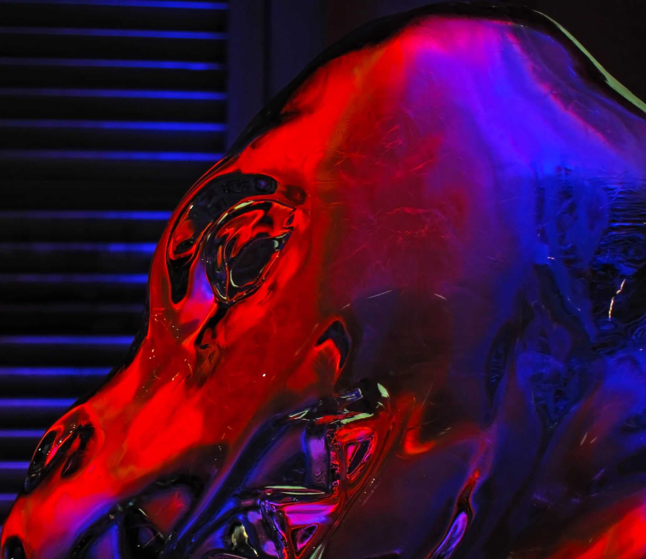 a colorful, glass sculpture of a bull with bright lighting