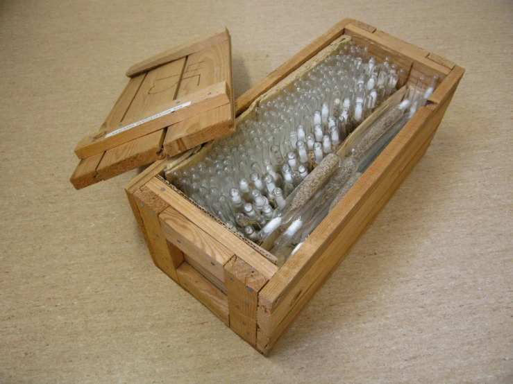 several toothbrushes are stored in their wooden case