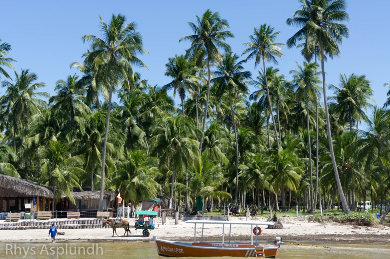 a small boat is anchored on the beach