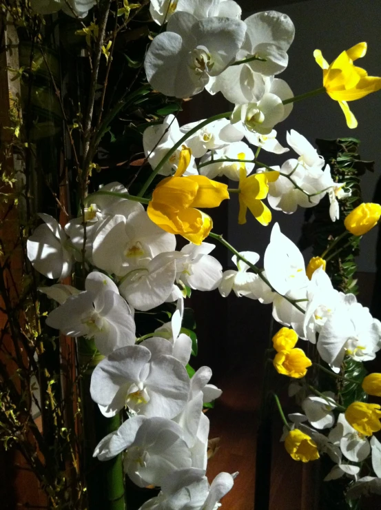 this is an arrangement of yellow and white flowers