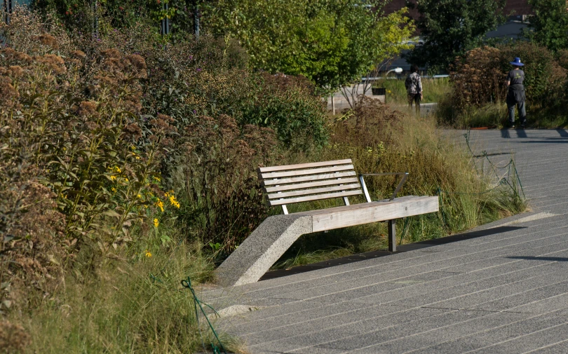 an empty wooden bench sits on a path by trees