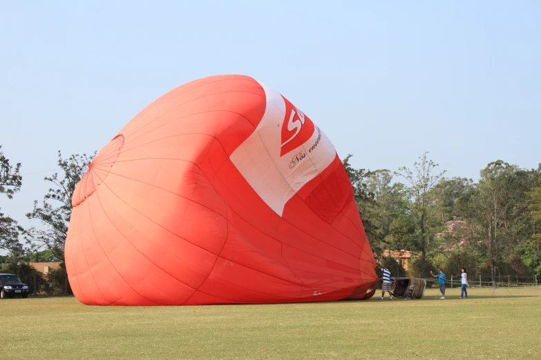 there is an egg shaped kite flying over the grass