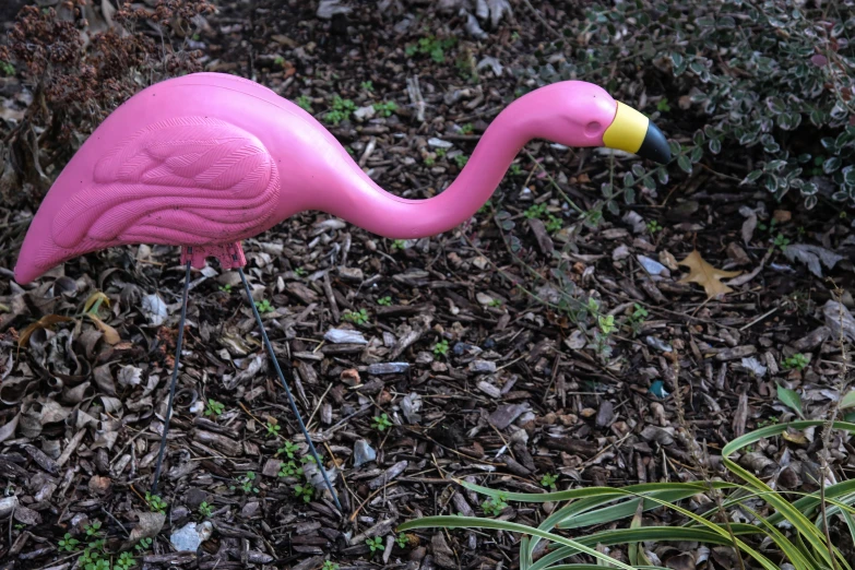 pink toy flamingo standing in the woods
