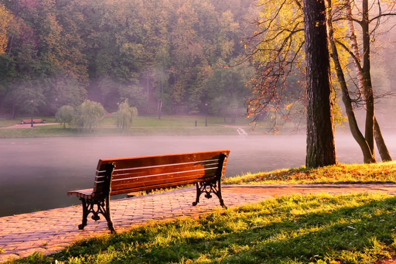 the park bench sits near the river in front of trees