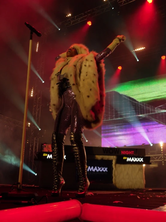 a man in a furry outfit stands on stage