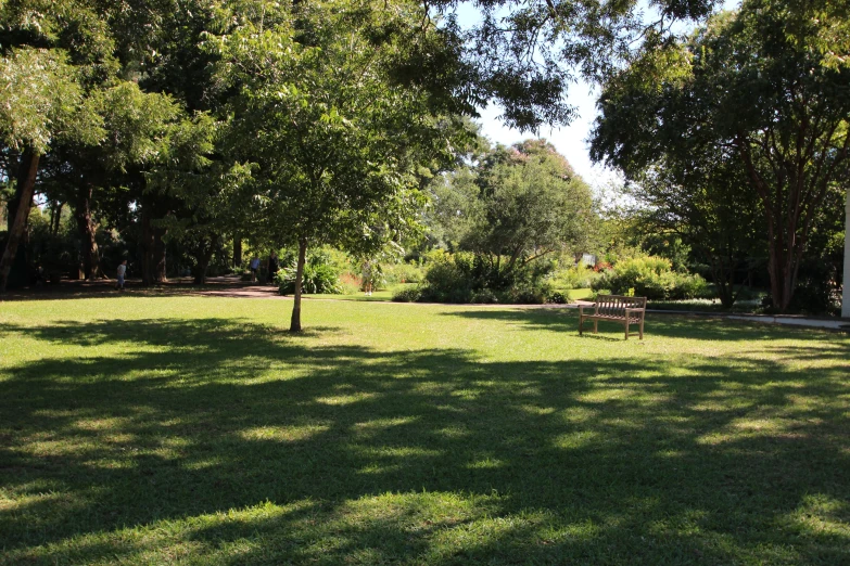 a park with some trees in it