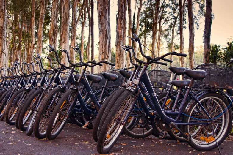 many bicycles are lined up next to each other