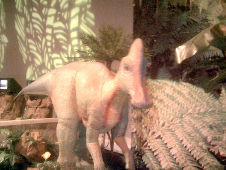 a stuffed elephant is shown in an exhibit